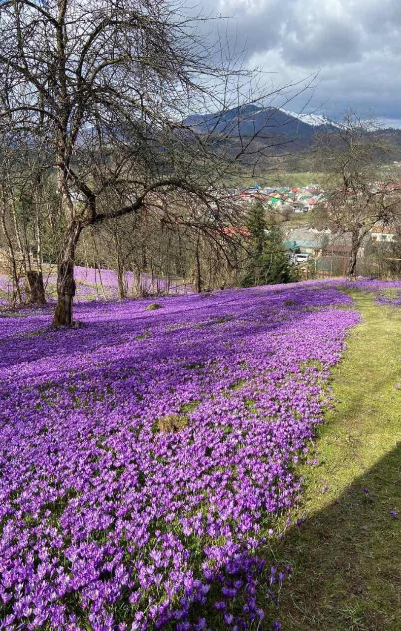 Коло Гір Otel Kolochava Dış mekan fotoğraf