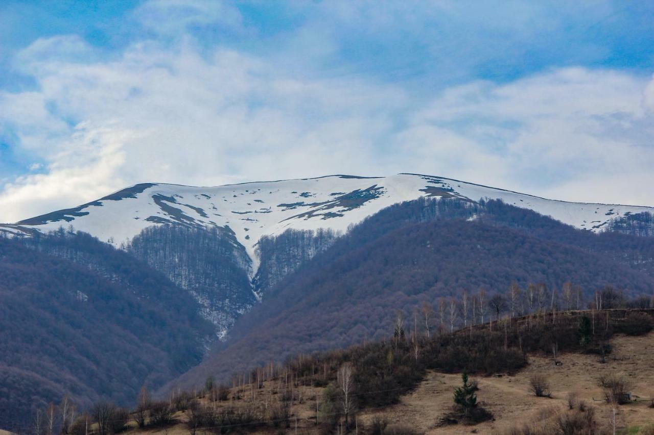 Коло Гір Otel Kolochava Dış mekan fotoğraf